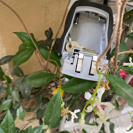 Апартаменты Charmant Studio Ecusson Centre Historique Монпелье