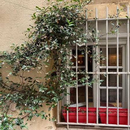 Charmant Studio Ecusson Centre Historique Apartment Montpellier