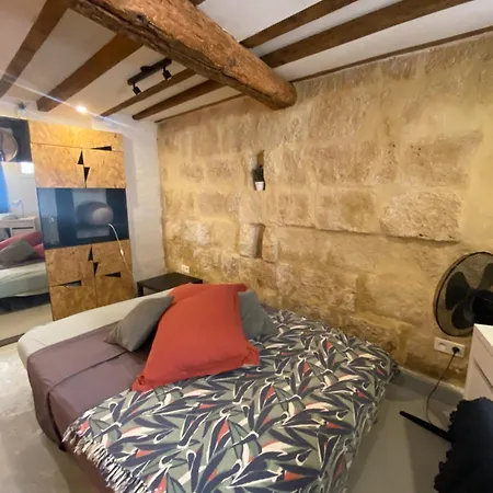 Charmant Studio Ecusson Centre Historique